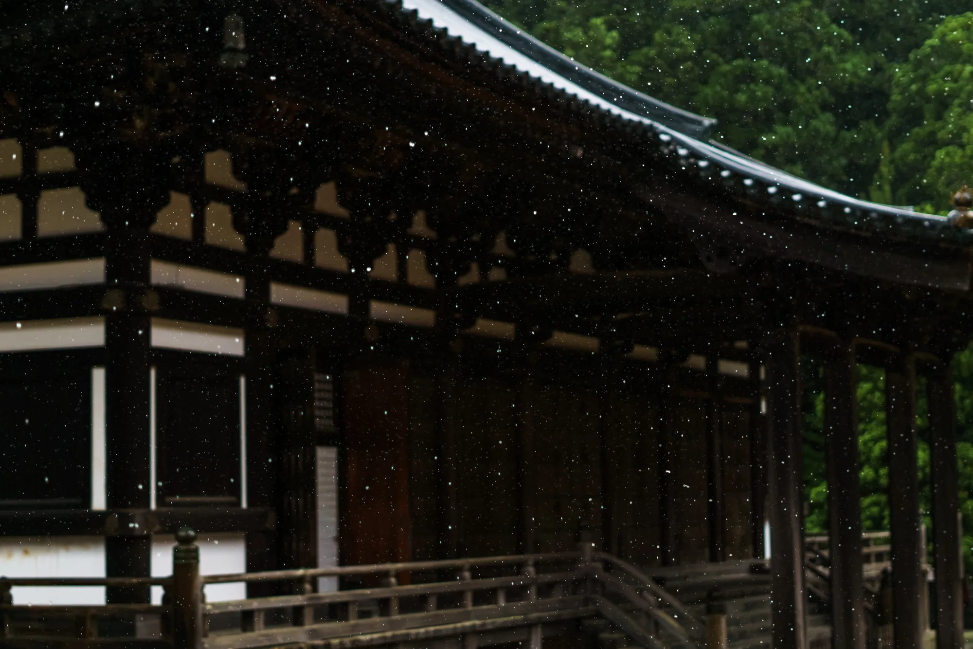 Japan, photograph 170
