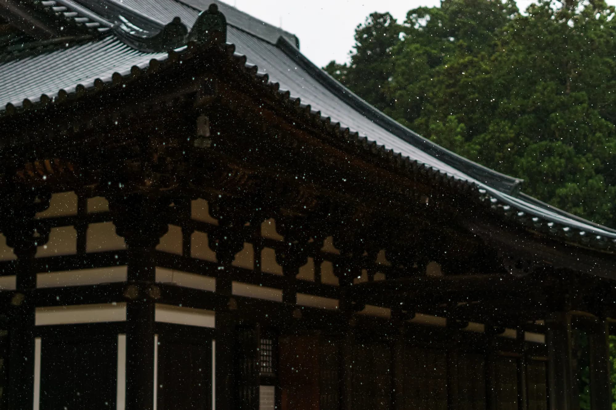 Japan, photograph 49