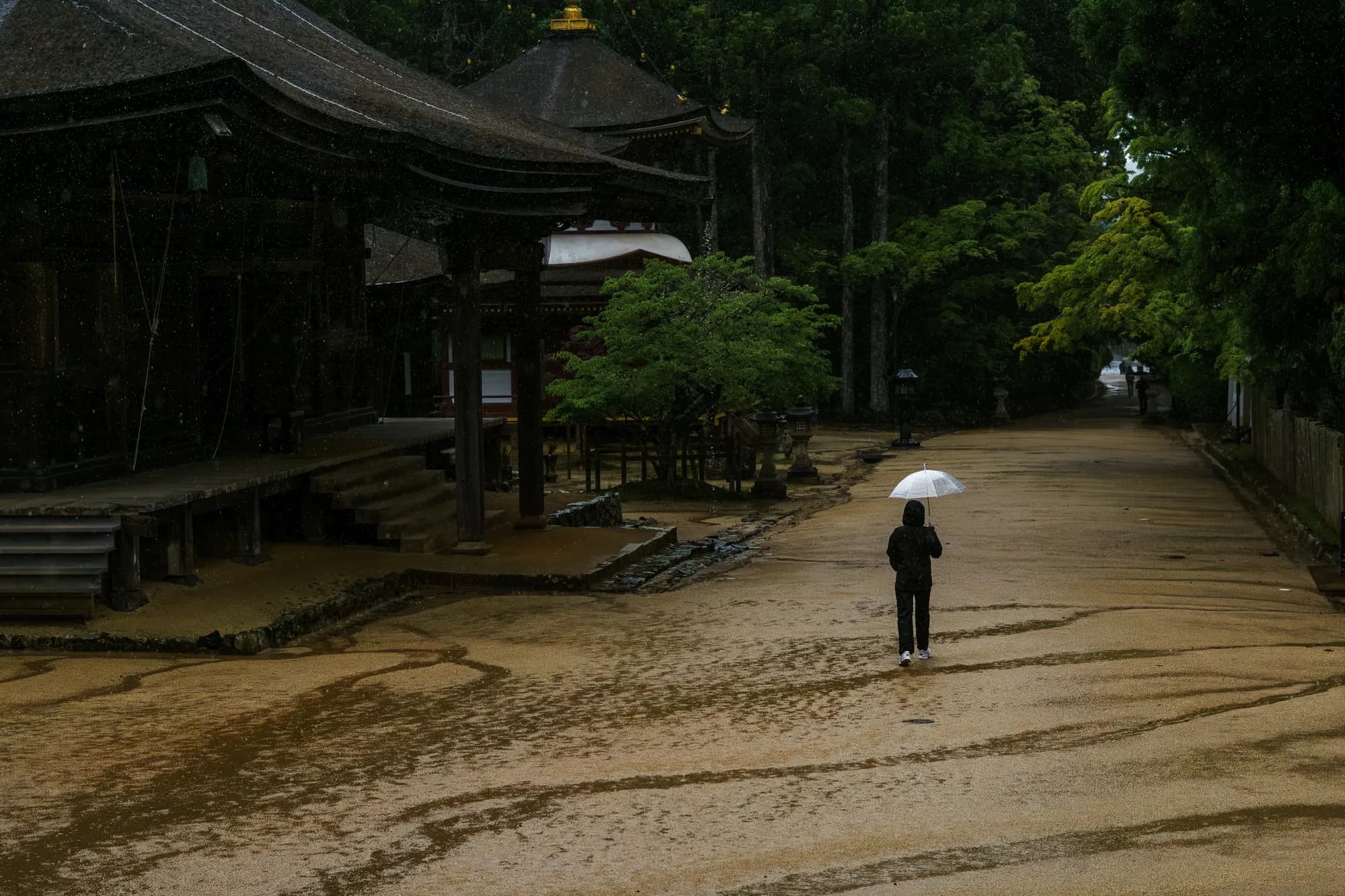 Japan, photograph 166