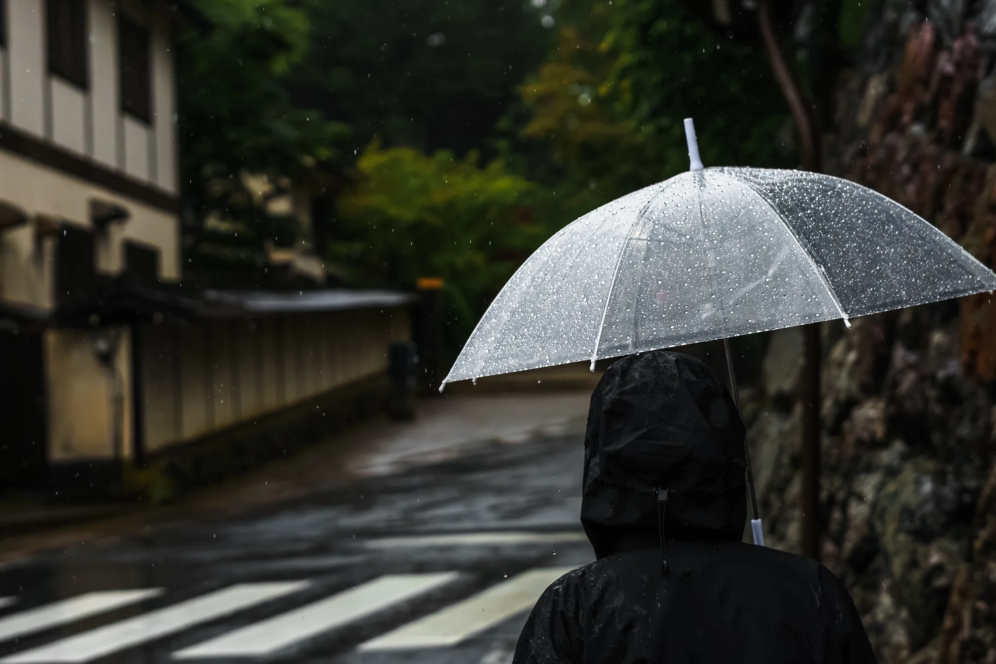 Japan, photograph 52