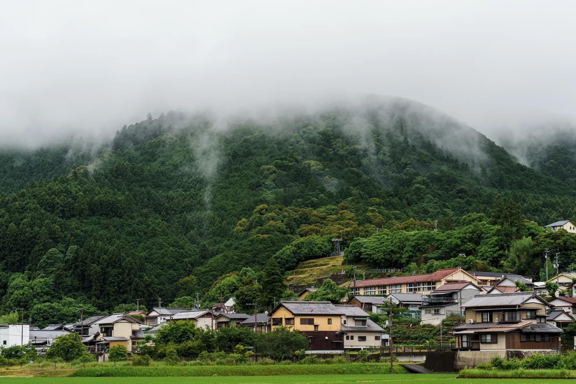 Japan, photograph 88