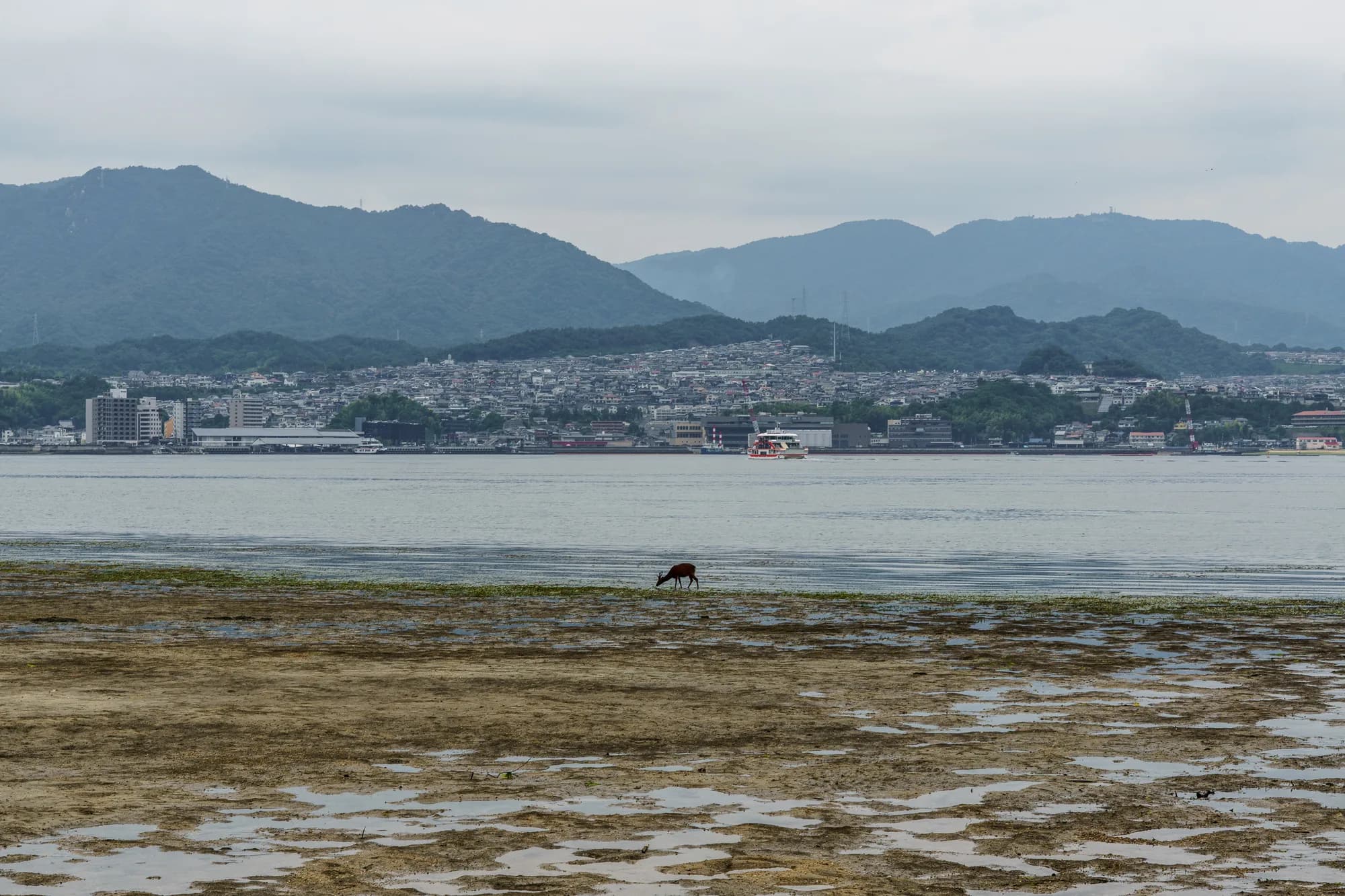 Japan, photograph 108