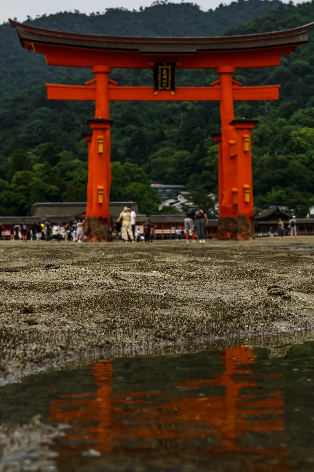 Japan, photograph 210