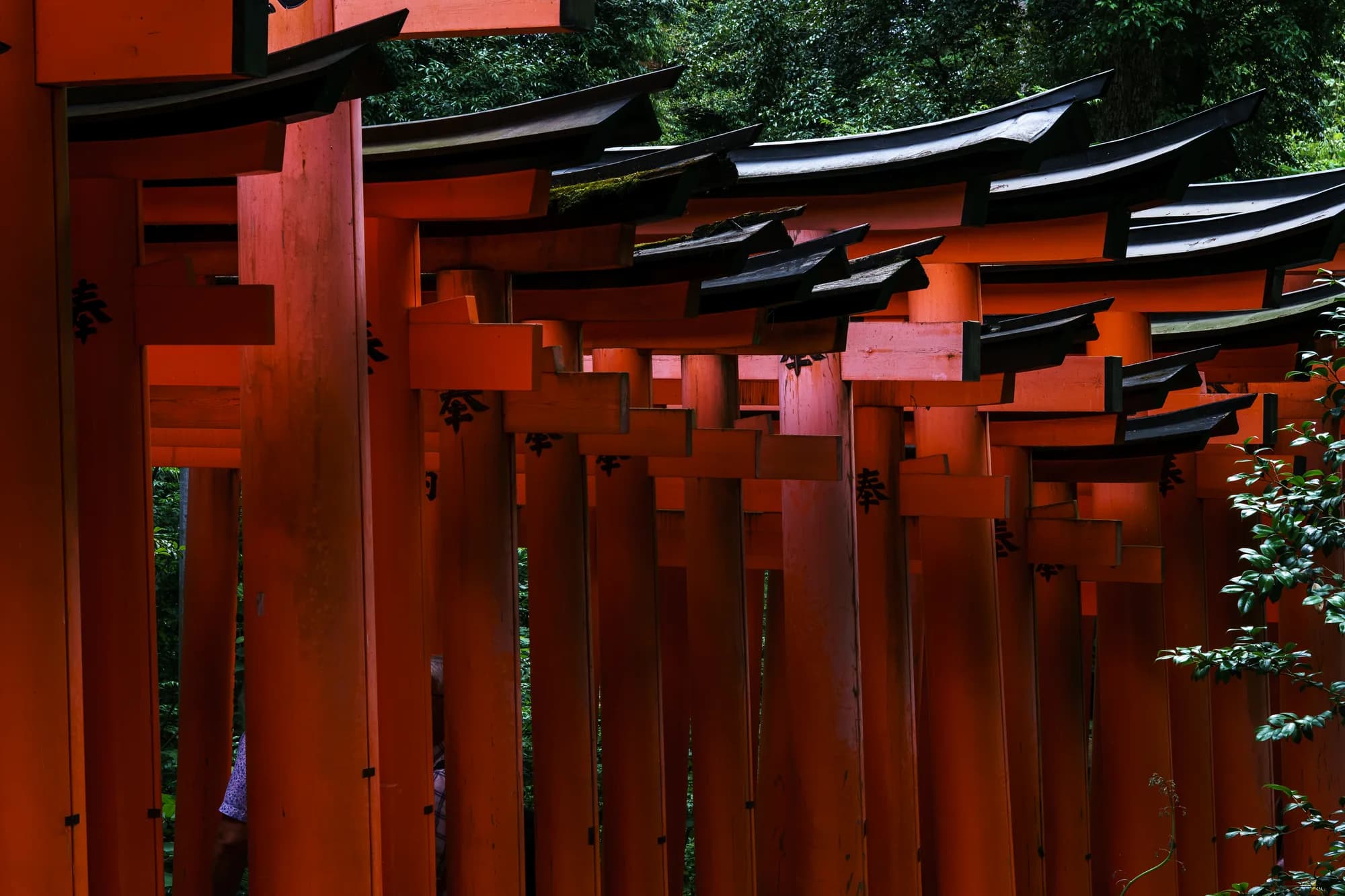 Japan, photograph 87