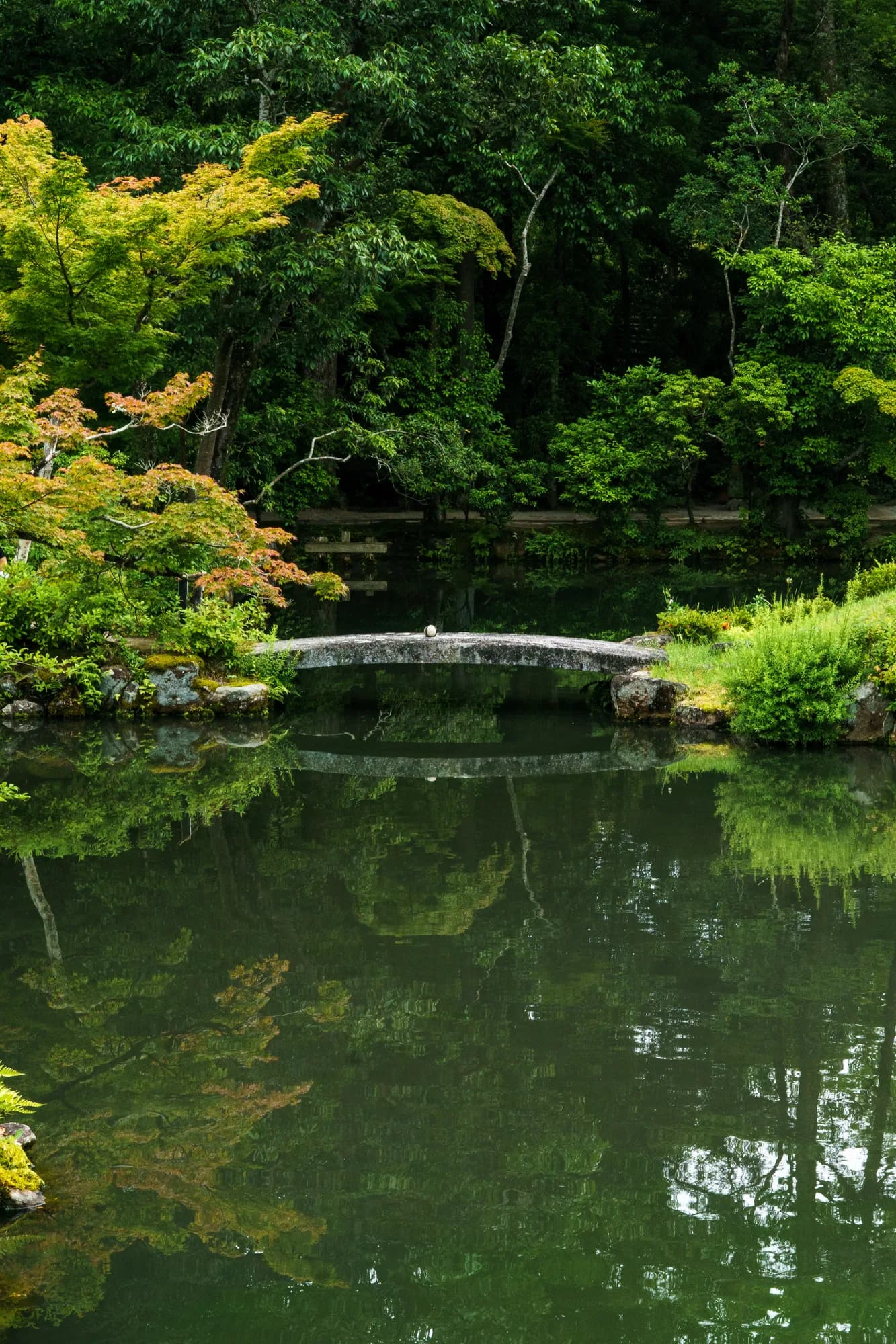 Japan, photograph 222
