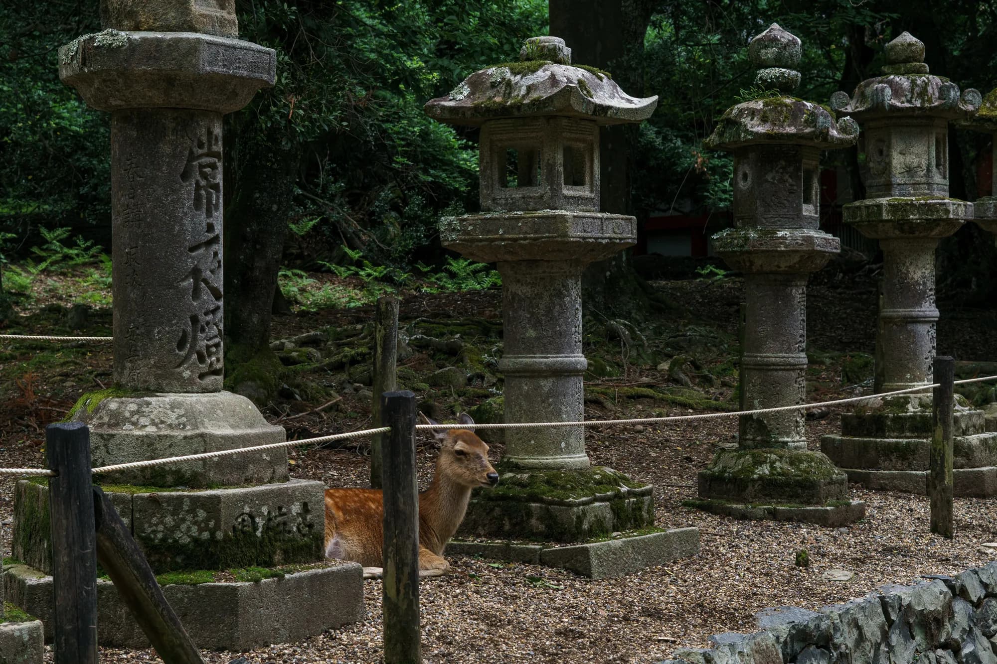 Japan, photograph 147