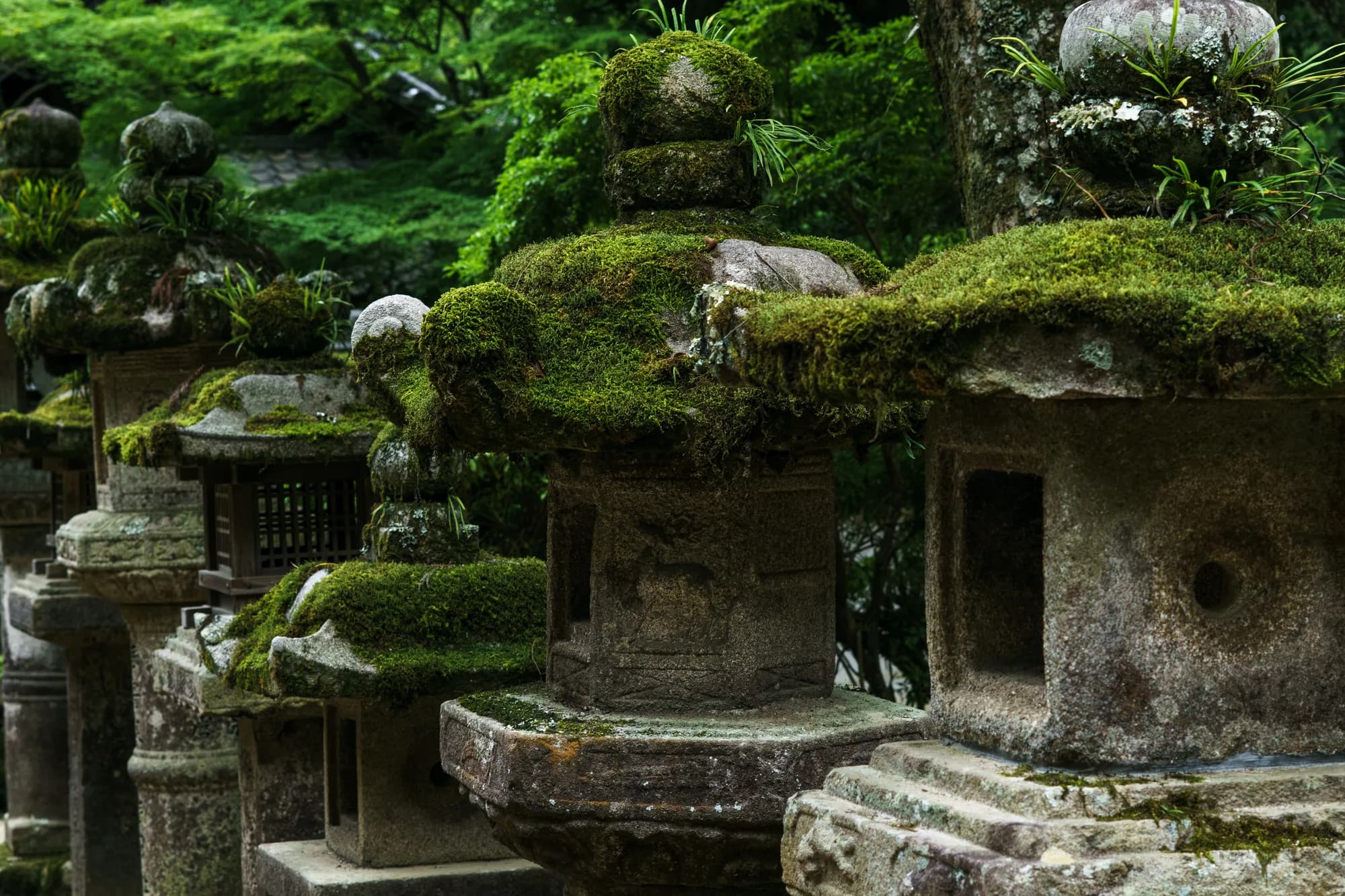 Japan, photograph 209