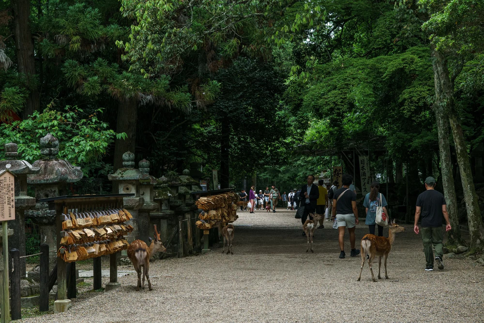 Japan, photograph 30