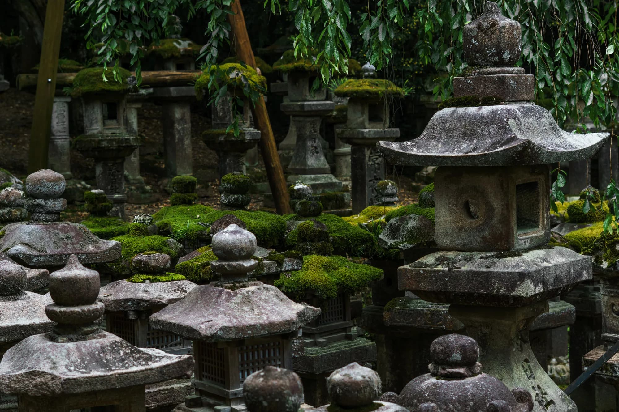 Japan, photograph 169