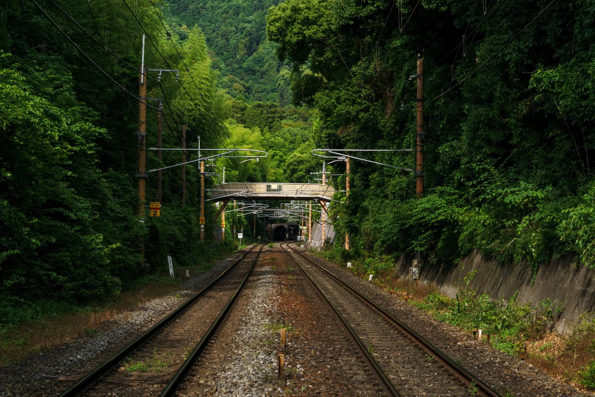 Japan, photograph 79