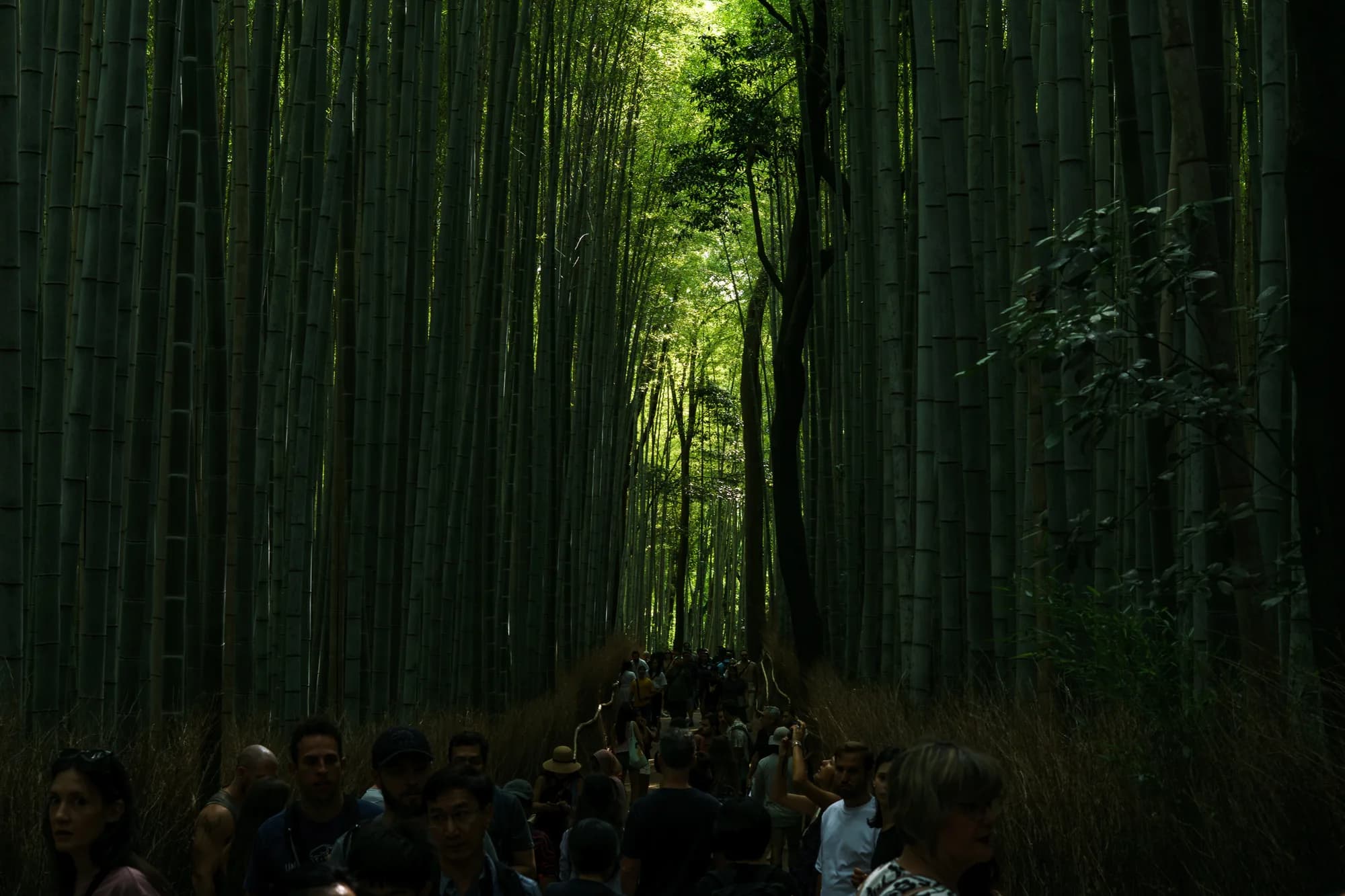 Japan, photograph 182