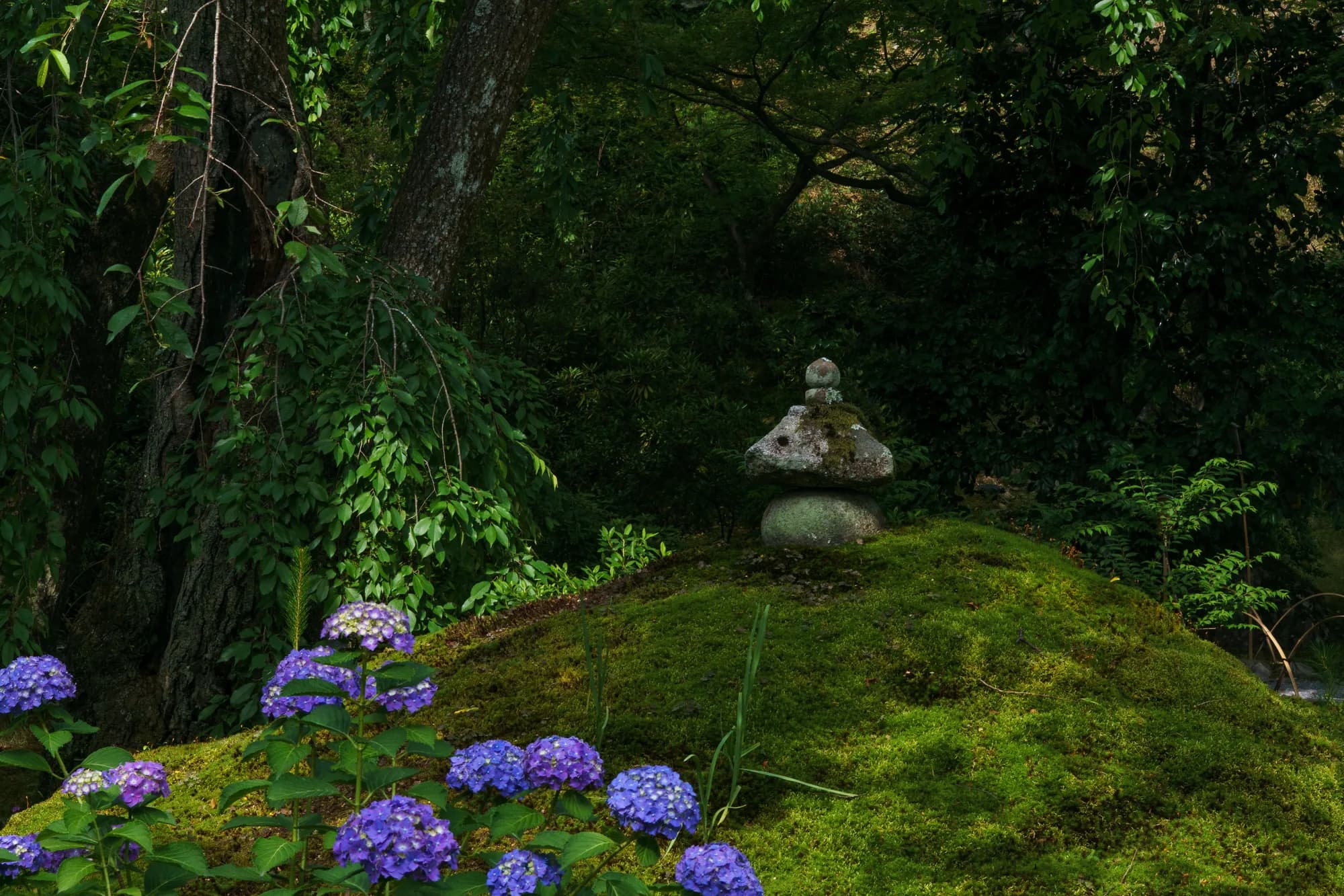 Japan, photograph 6