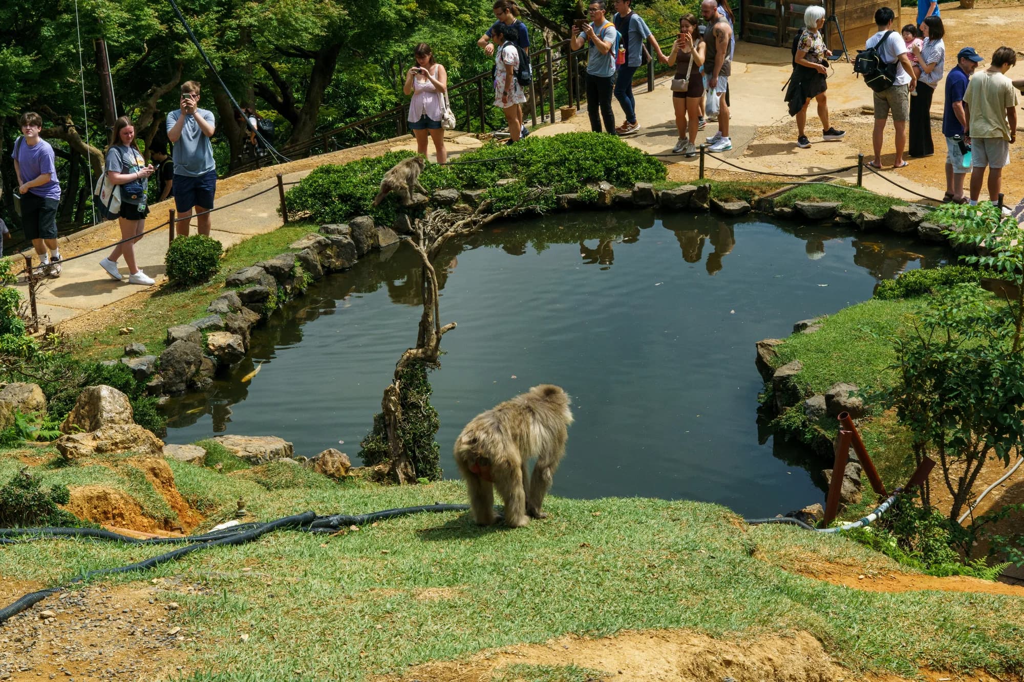 Japan, photograph 9