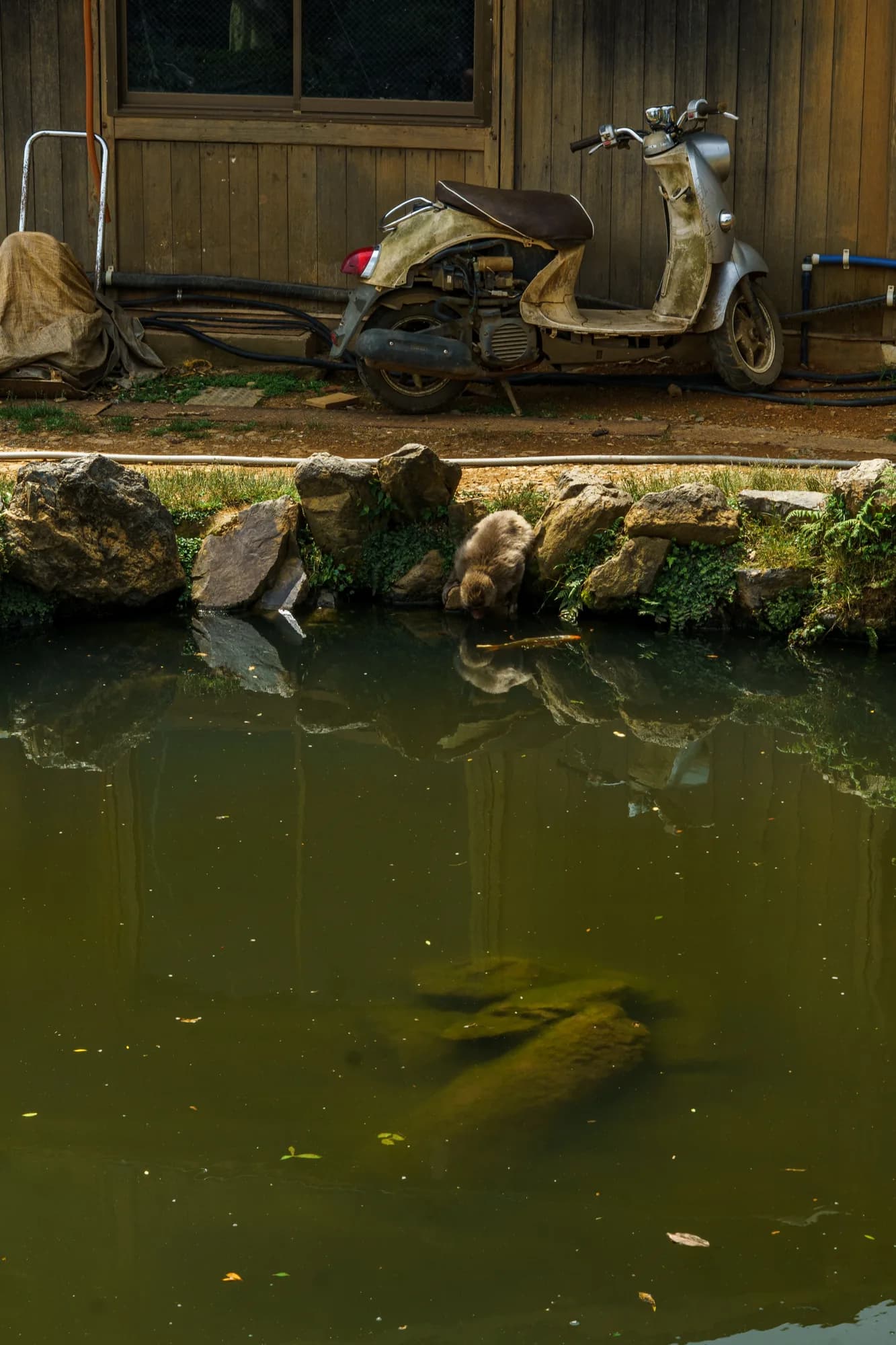 Japan, photograph 141