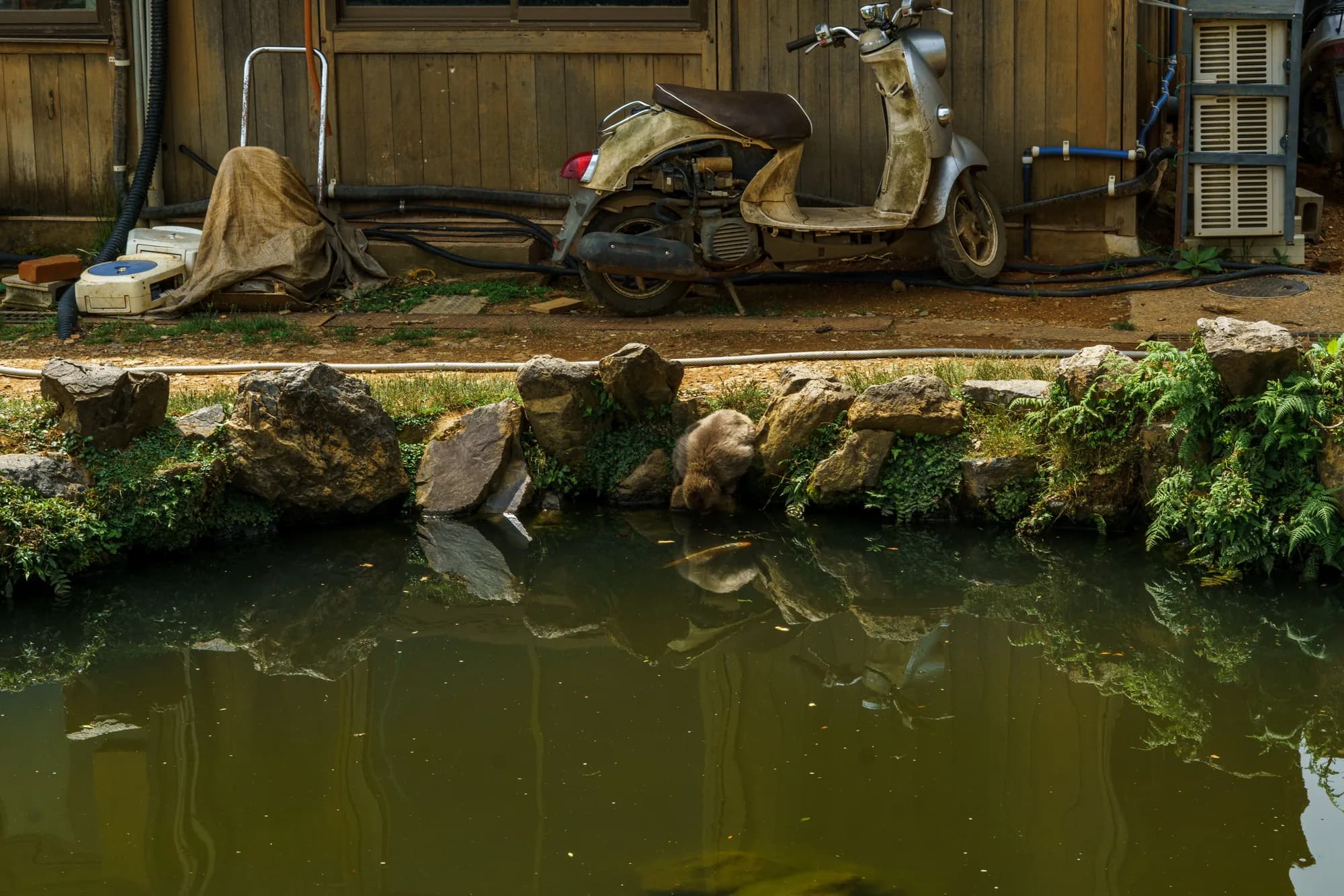 Japan, photograph 95